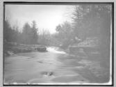 The Glen, 1880, Broadheads Creek