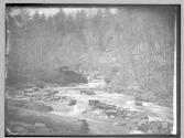 Old Basin of Buck Mountain Co, 1880