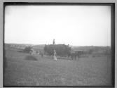 Hay Wagon, 1885