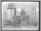 Black Man on bull, N. Carolina, 1885