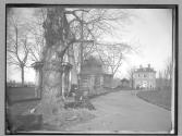 Philadelphia Zoological Gardens, 1880