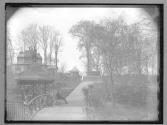 View in the Zoo