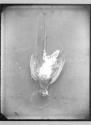 Single Snipe, dead, 1885