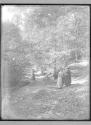 Women in woods