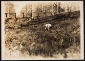 [Small child playing in field]