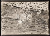 [Group of boys swimming]