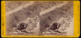 A Dead Rebel Soldier, as he lay in the trenches of Fort Mohone