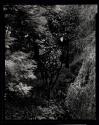 The Garden, Orgeval