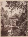 [Ceylon]