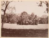 [Ceylon]