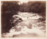 River Dulais. Near Ynysygerwn, one of his homes in South Wales. 1852. Calotype.