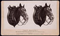 "Old Baldy", Major Gen. Geo. G. Meade's Veteran War Horse, with records of battles and wounds