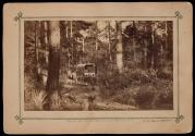 Scene on Folly Island