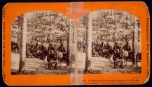 1st Massachusetts Cavalry Camp in the Woods