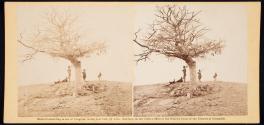 A Lone Grave on Battle-Field of Antietam