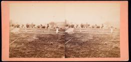 Seminary Ridge, No. 4.  Rebel position occupied by Pickett's and Anderson's divisions on Friday; also the field across which they made their most desperate charge against our left centre and on which they left 1500 dead.  From Cemetary Hill.
