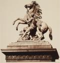 [Chevaux de Marly]