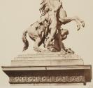 [Chevaux de Marly]