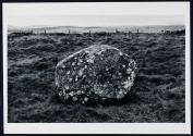 Kilgowan Stone Circle detail, Ireland