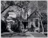 House, trees and cat, Austin, Texas