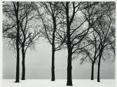 Chicago lake front