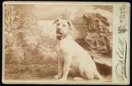 Fred A. Kirmmer, Chi Phi House, "Duke"