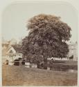 [Farningham Kent]