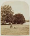 Kew Gardens