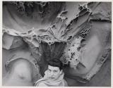 Jan Davis, vicinity of Pescadero, California