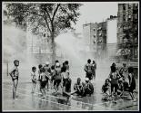 [Group of children in park sprinkler]
