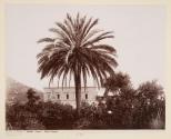 Capri Palma Hotel Pagano
