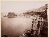 Scilla