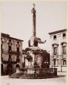 Catinia L' Elefante