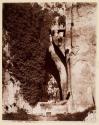 Siracusa Orcchio di Dionsio
