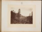 Cooley's Park, Sierra Blanca Range, Arizona.