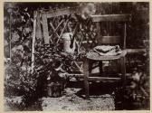 [Garden study with chair and watering can]