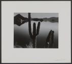 Baja California