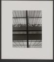 Fifteen Photographs