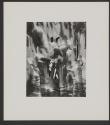 Fifteen Photographs