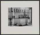 Fifteen Photographs