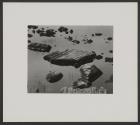 Fifteen Photographs
