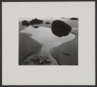 Fifteen Photographs