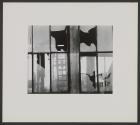Fifteen Photographs