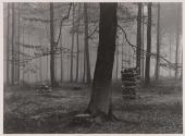 Herbstnebel
