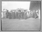 Egypte Courses a Heliopolis-types et scenes