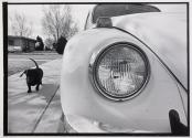 [Dachshund walking by parked Volkswagon]