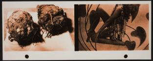 From the series "Pink Dualities" (Klimt-Root)
