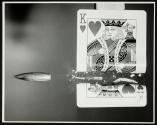 [Jack of Diamonds playing card cut by a 30 caliber bullet]