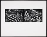 Portfolio 75, MFA Photography program, Rochester Institute of Technology