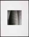 Portfolio 75, MFA Photography program, Rochester Institute of Technology